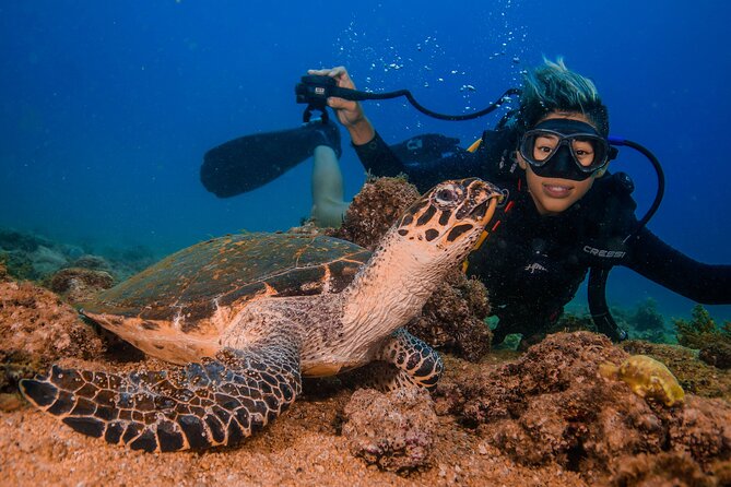 Scuba Diving with a 5-Star PADI Center in Puerto Vallarta - The Real Cost of the $119 Price