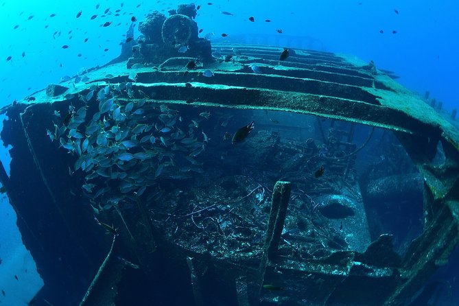 Scuba Diving - The Arch, sea lions, and the ride to the sites