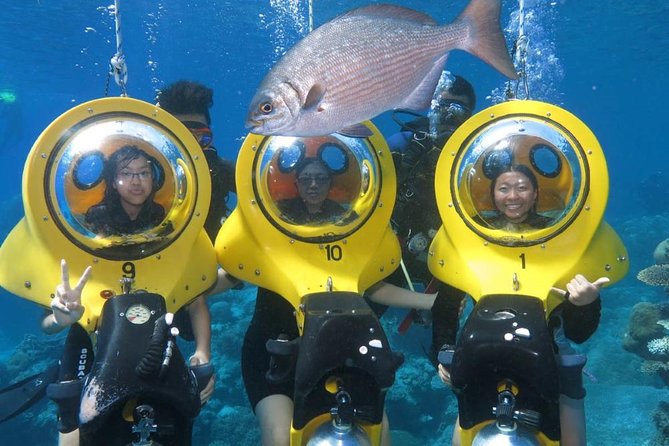 Scuba Doo Diving Experience in Punta Cana - Key points to know before booking