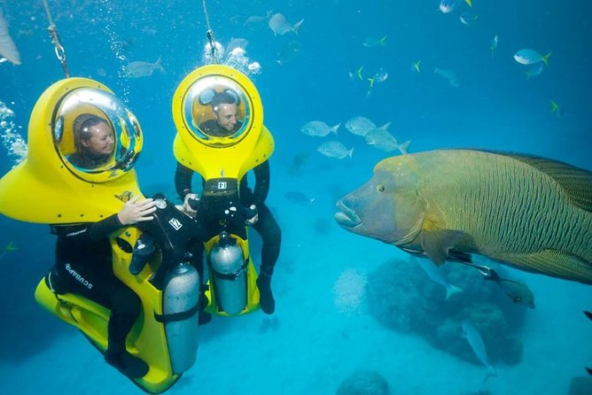 Scuba Doo Diving Experience in Punta Cana - The glass-bottom boat portion