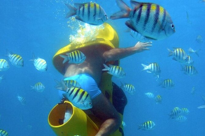 Scuba Doo - Diving Scooters in Punta Cana - Five things to know before booking