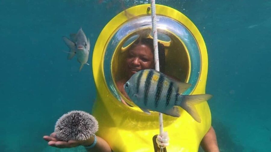 Scuba Doo - Diving Scooters in Punta Cana - Who should book this experience
