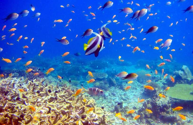 Semporna: Bohey 3 Islands Hike, Snorkel/Dive Tour with Lunch - Boat time, comfort, and practical preparation