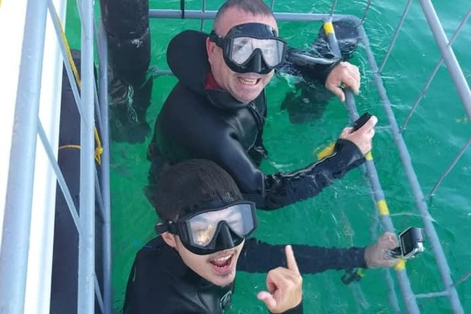 Shark Cage Diving - Watching the sharks from above the water