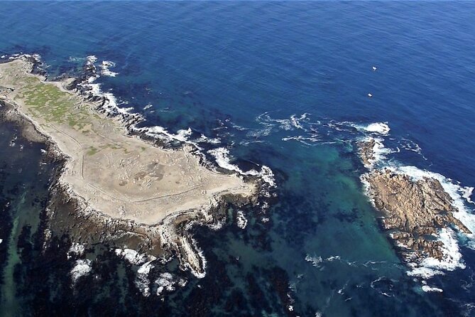 Shark Cage Diving and Viewing with transport from Cape Town - Who will enjoy this Cape Town day trip?