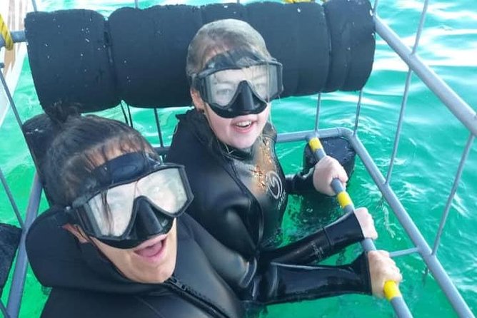Shark Cage Diving - Who will enjoy this most