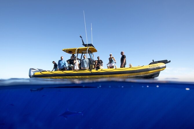 Shark-Dive Tour on Oahu's North Shore - Is $135 a fair price?