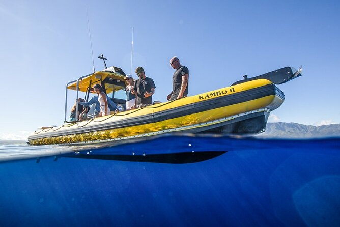 Shark-Dive Tour on Oahu's North Shore - Who should book this North Shore shark swim