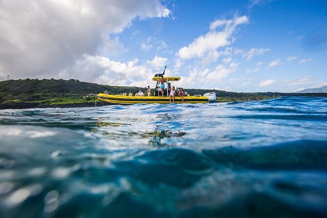 Shark-Dive Tour on Oahu's North Shore - My call: book it with realistic expectations