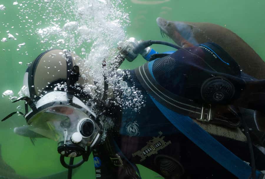 Sharm El-Sheikh: Guided Shore Scuba Diving at 2 Dives - The instructor and safety setup