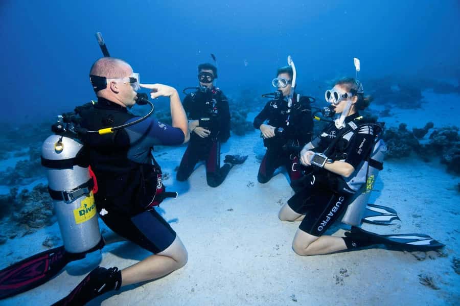 Sharm el Sheikh: PADI Diving Courses Package - Key points to know before booking
