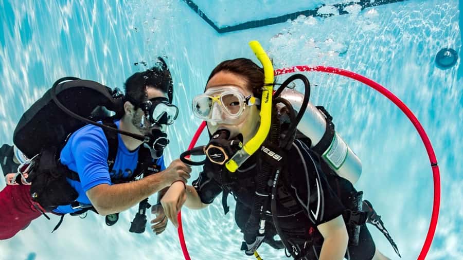Sharm el Sheikh: PADI Diving Courses Package - Who should book this course