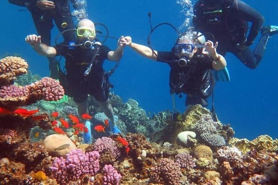 Sharm El-Sheikh: Parasailing, Camel Ride, Dive & Quad Bike - Hotel pickup begins the morning