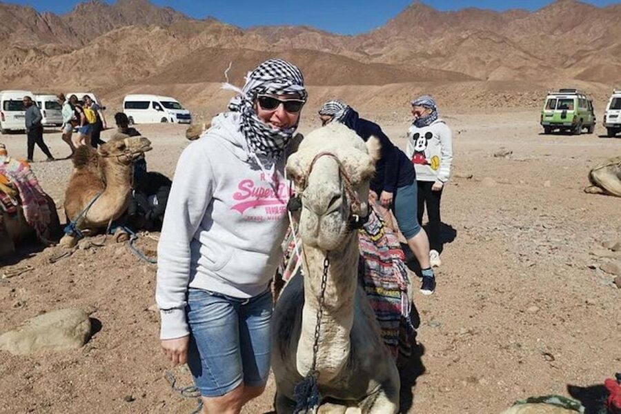 Sharm El-Sheikh: Parasailing, Camel Ride, Dive & Quad Bike - What the $41 price really covers