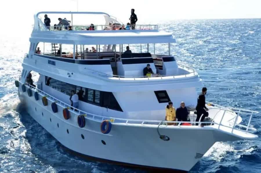 Sharm El Sheikh: Ras Mohamed & White Island Dive & Snorkel - Key points to know before booking
