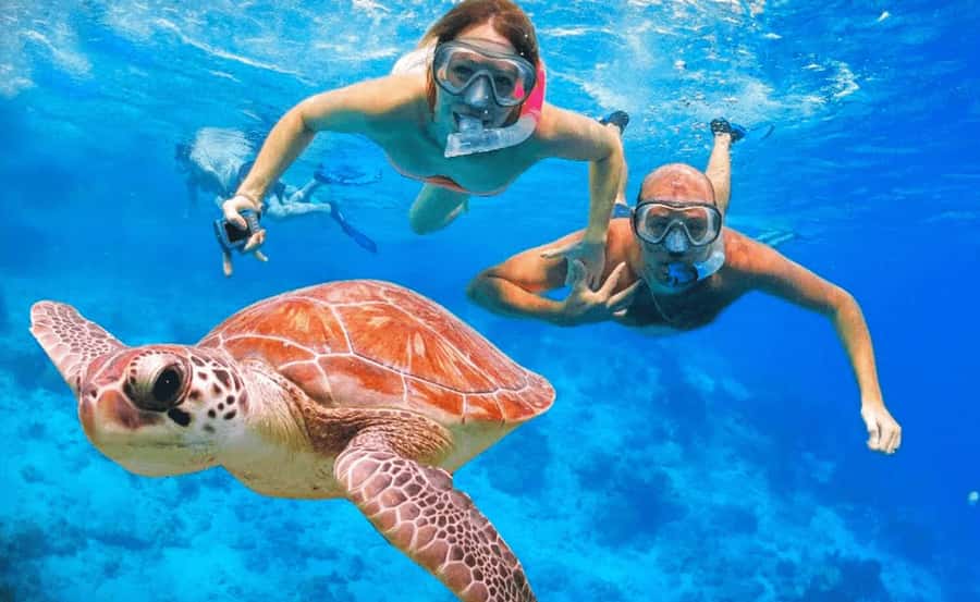 Sharm El Sheikh: Ras Mohamed & White Island Dive & Snorkel - Why Ras Mohamed makes this day special