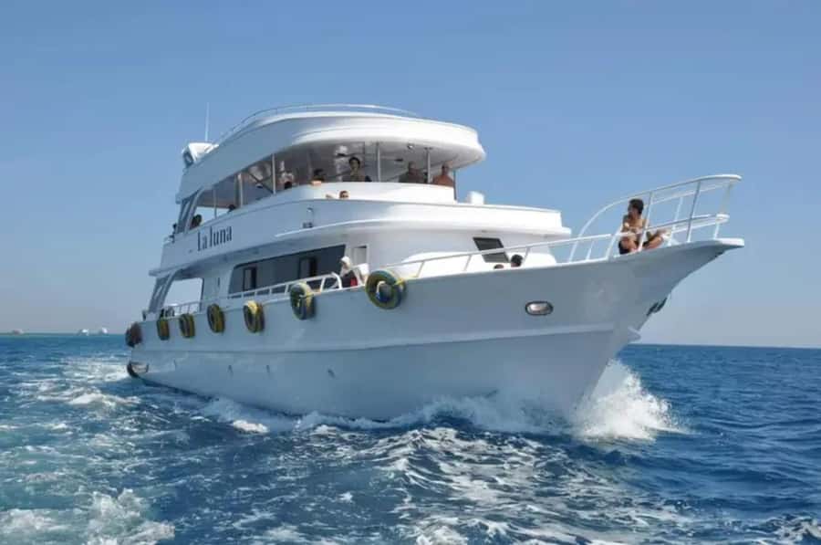 Sharm El Sheikh: Ras Mohamed & White Island Dive & Snorkel - Lunch and drinks keep the full day manageable