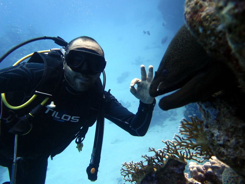 Sharm El Sheikh: Ras Mohamed & White Island Snorkel or Dive - Snorkeling keeps the day easy and flexible