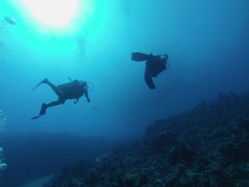 Sharm El Sheikh: Ras Mohamed & White Island Snorkel or Dive - Lunch, drinks, and life on the boat