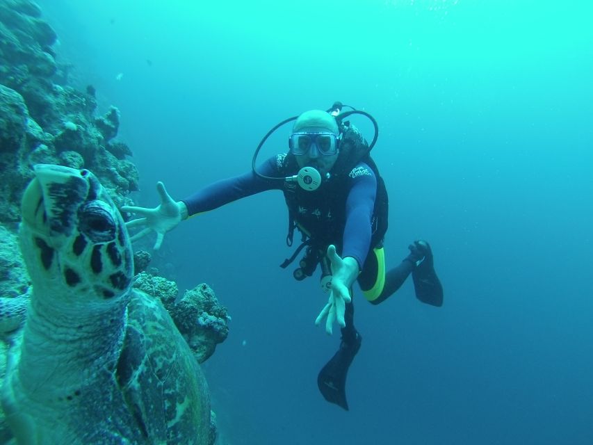 Sharm El Sheikh: Ras Mohamed & White Island Snorkel or Dive - From your hotel to the Red Sea