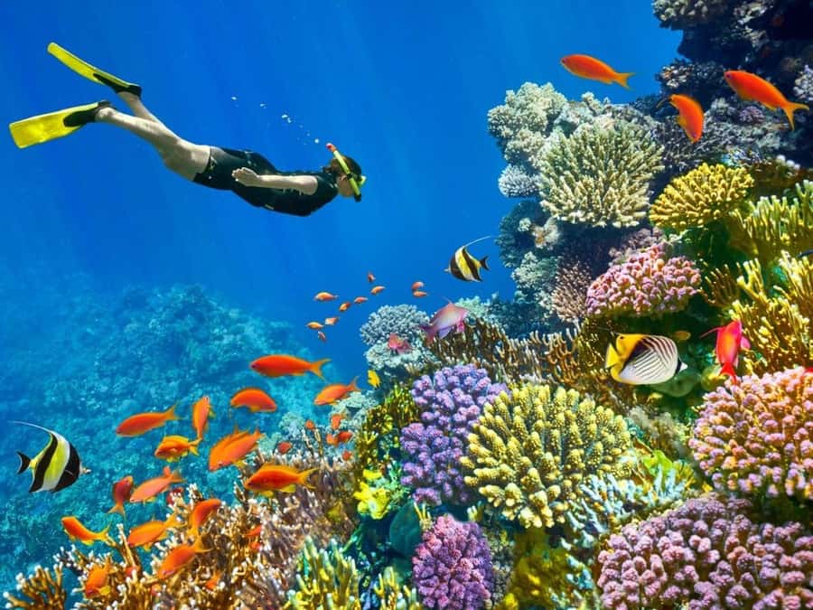 Sharm El Sheikh: Red Sea Scuba Diving Experience - Getting Ready With Sinai Scuba Diving Centre