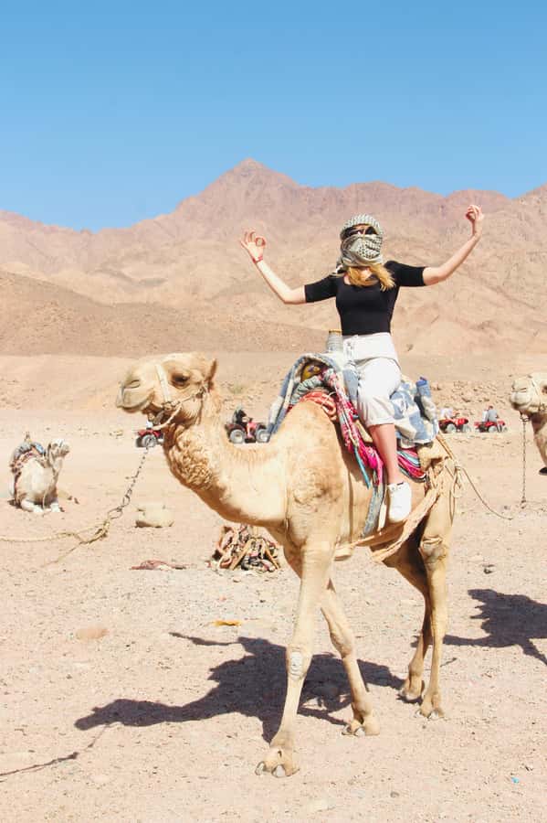 Sharm El Sheikh: Red Sea Scuba Diving Experience - What the Boat Option Adds