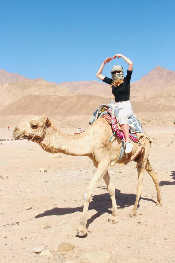 Sharm El Sheikh: Red Sea Scuba Diving Experience - Is $45 Good Value?