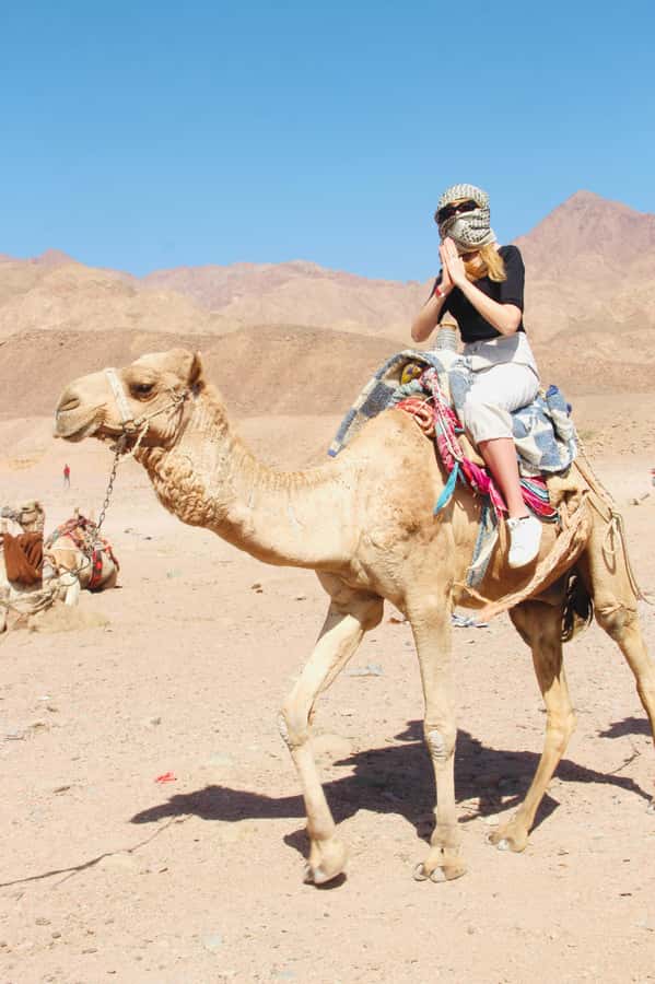 Sharm El Sheikh: Red Sea Scuba Diving Experience - Booking Tips Before You Go