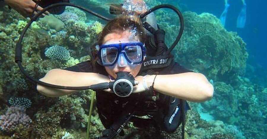 Sharm: Introductory Dive from the Shore & PADI Courses - A gentle first look at Sharm’s reef life