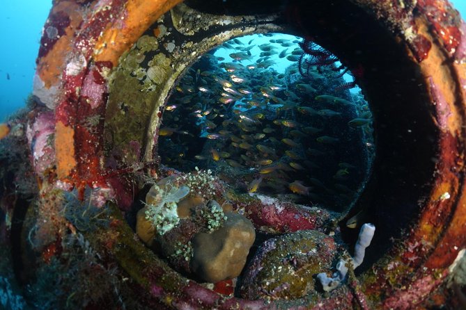 Shipwreck Diving in Tulamben - The USAT Liberty makes this an all-day commitment