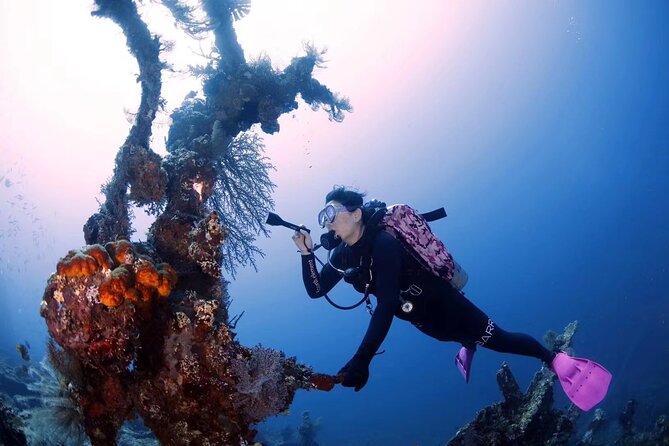 Shipwreck Diving in Tulamben - Small details that make the day easier