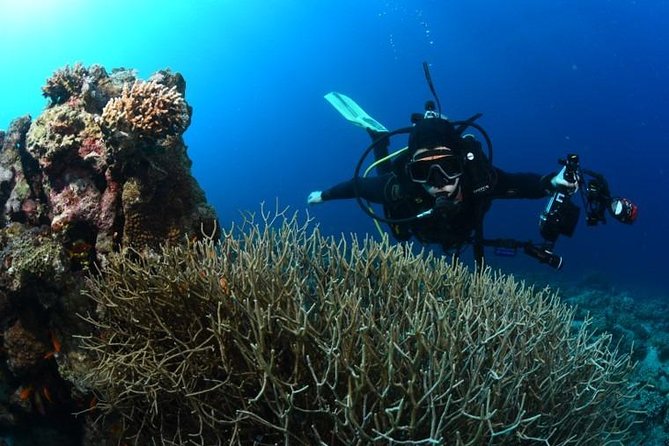 Shore Certified Diving - Two Dives - The people are a major part of the value