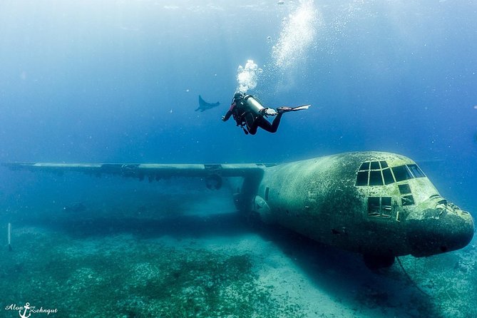 Shore Certified Diving - Two Dives - Choosing between a reef and a military site