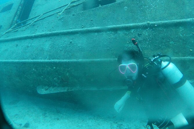 Shore Dive Aruba for Certified Divers - Why this Aruba shore experience is different