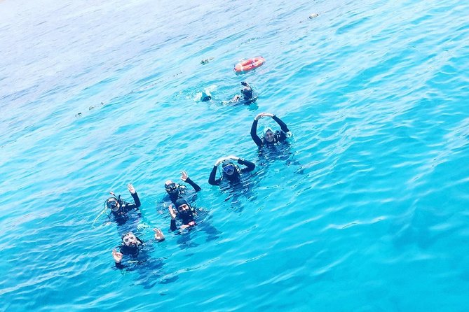 Shore PADI SCUBA Open Water Course - Key points about this Aqaba scuba course