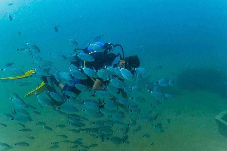 Side: Scuba Diving, Underwater Museum, 2 Dives incl. Lunch - Who will enjoy this most