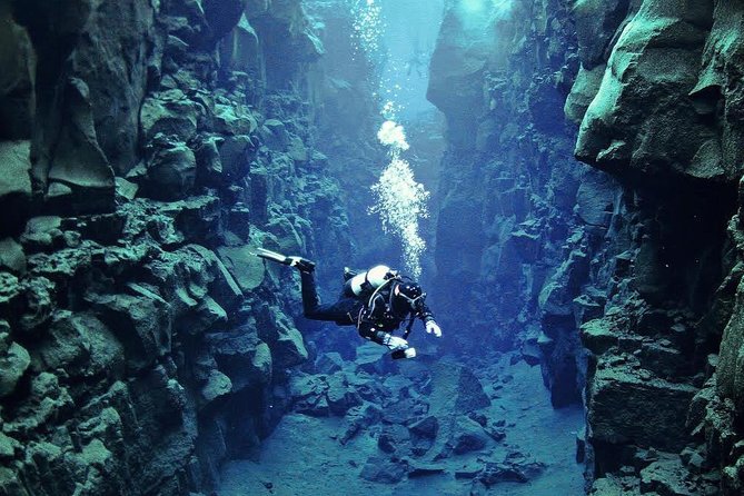 Silfra: Diving Between Tectonic Plates and Pick Up from Reykjavik - What the guide adds