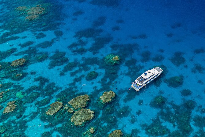 Silverswift Dive and Snorkel Great Barrier Reef Cruise - Key points to know before booking