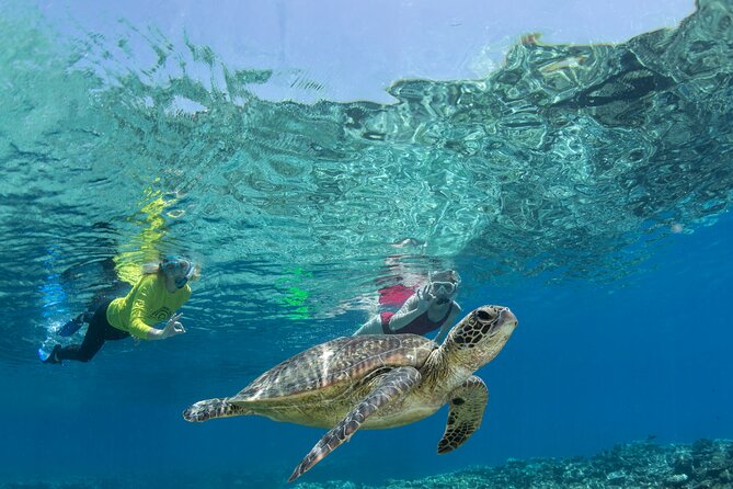 Silverswift Dive and Snorkel Great Barrier Reef Cruise - Three outer reef sites from one Cairns catamaran