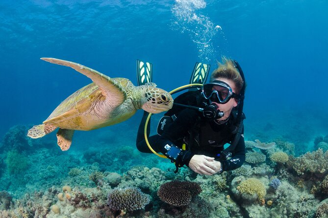 Silverswift Dive and Snorkel Great Barrier Reef Cruise - Certified scuba and equipment details