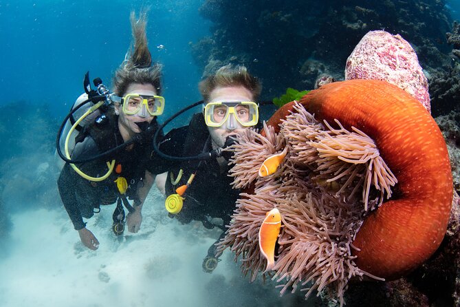 Silverswift Dive and Snorkel Great Barrier Reef Cruise - Snorkeling works well for mixed groups
