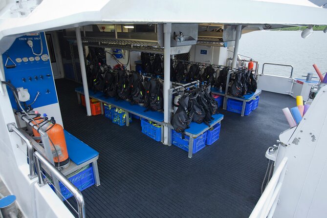 Silverswift Dive and Snorkel Great Barrier Reef Cruise - Who should book this reef cruise?