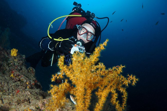 Single Dive for qualified divers from shore, region Puerto del Carmen. - Equipment is the key price question