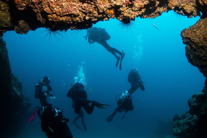 Single Scuba Try-Dive in Puerto del Carmen - small groups - 2 hours - What to bring, and what not to do