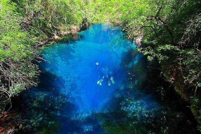 Skip the Line: Lagoa Misteriosa Admission Ticket with Scuba Diving Experience - The 8-Meter First Scuba Experience