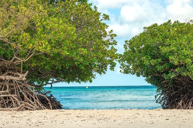 Small-Group Aruba Scuba Diving for Non-Certified Divers - Why this Aruba scuba session works for beginners