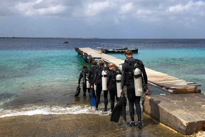 Small Group Diving experience in Caribbean - Why the Four-Diver Limit Changes the Day