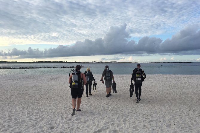 Small Group Guided Shore Dives in St. Andrews State Park, Florida - A calmer way to return to scuba