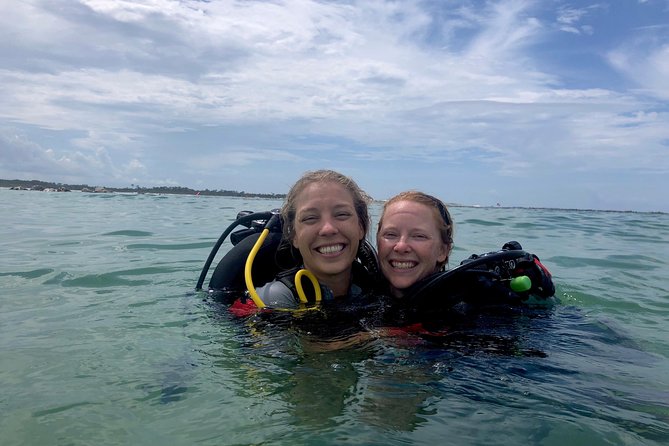 Small Group Guided Shore Dives in St. Andrews State Park, Florida - What happens at the jetty wall