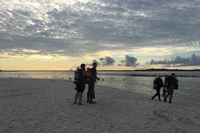 Small Group Guided Shore Dives in St. Andrews State Park, Florida - Why a shore session may suit you